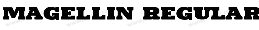 Magellin Regular字体转换